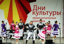 День культуры Лискинского района