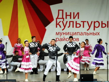 День культуры Лискинского района